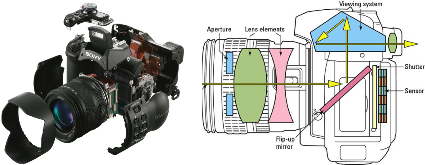 The mechanism of a digital camera / Digital Camera Basic Knowledge / PHOTO  STYLE / Digital Cameras