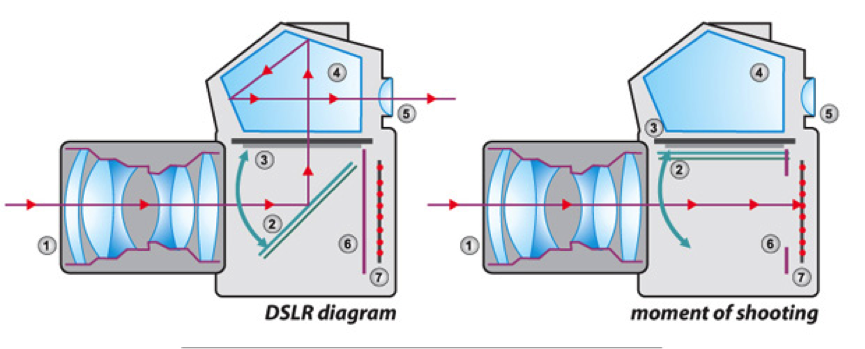 Electronics How Digital Camera Works Howthingswork Org