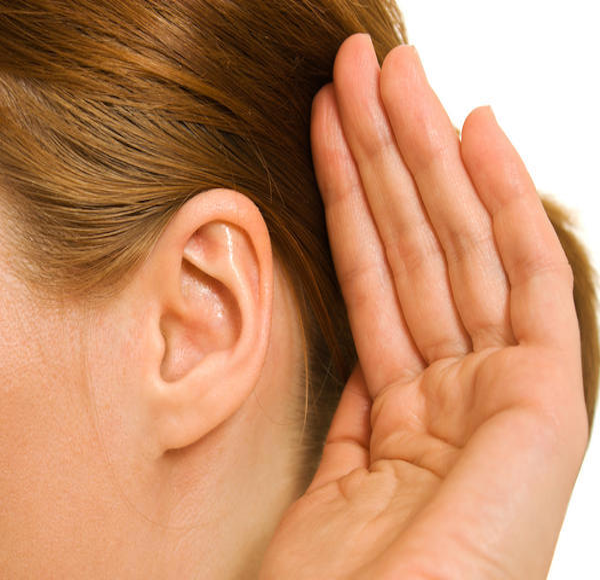 Biology How our ears work Howthingswork org