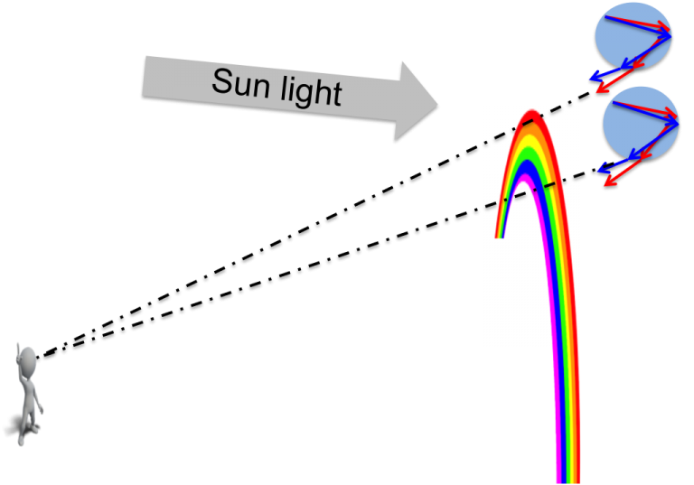 Nature/PhysicsHow do rainbows form?