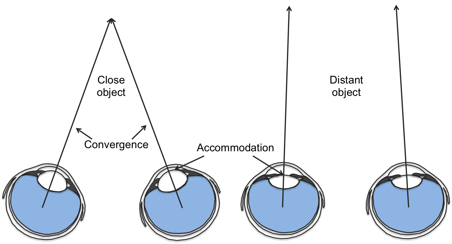 monocular depth cues interposition