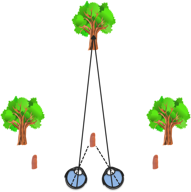 interposition monocular cues